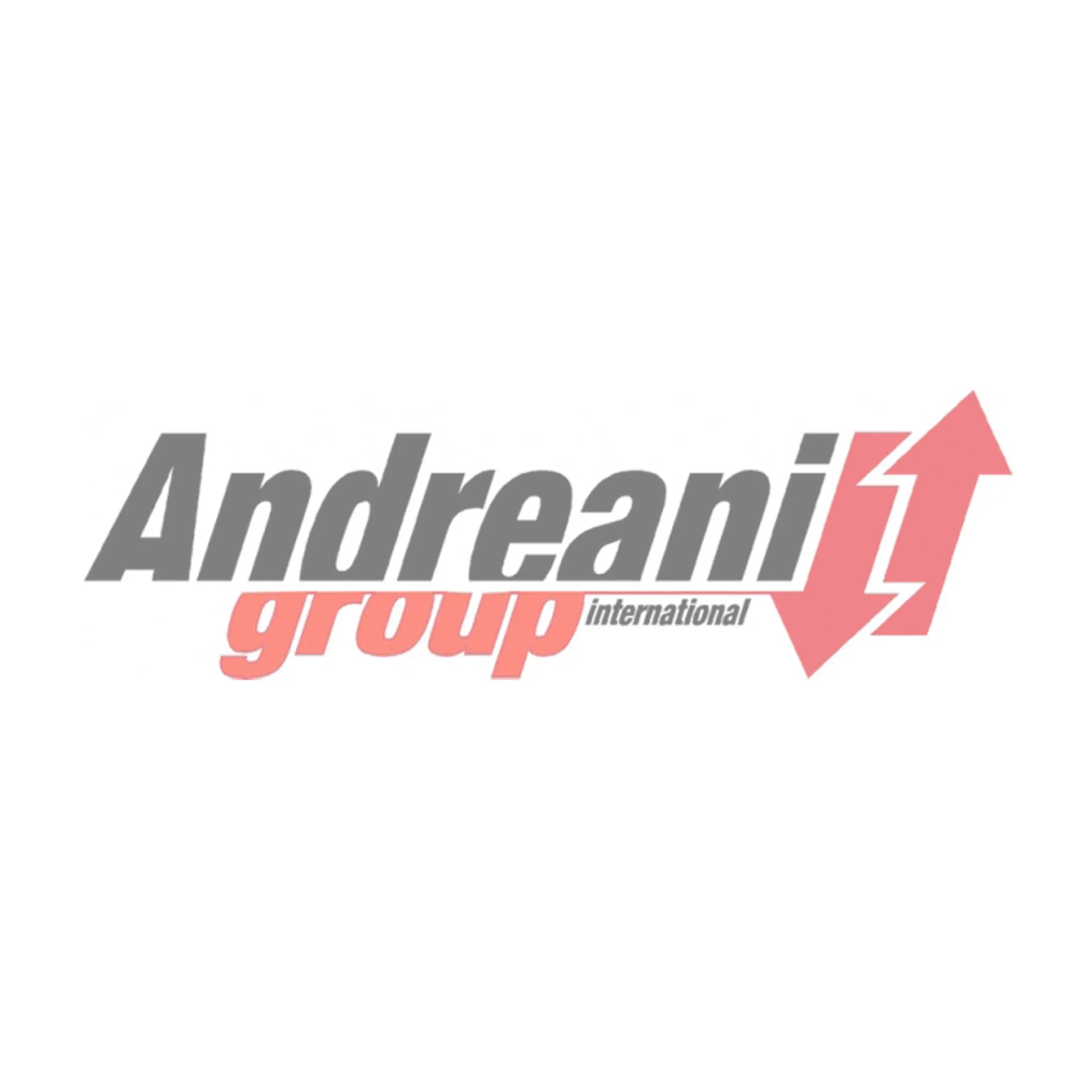 Andreani Separator Kit for Rockshox Brain 2018-2019