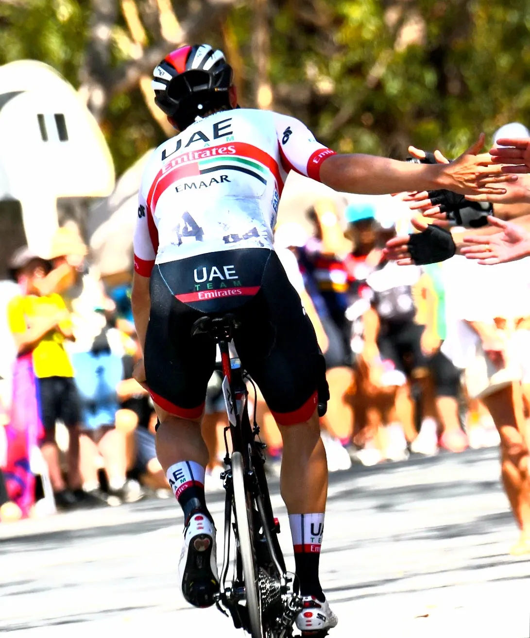 APEX AERO RACE SOCK