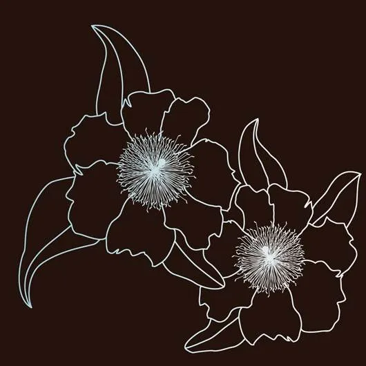 Bacaro Mocca Style Placemat Set of 2 (45/30cm)