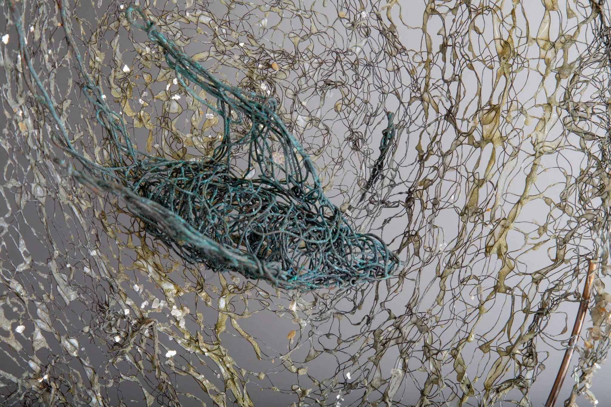Bird Nest Wall Sculpture ~ Volucres Nidificant (Birds Nest) Wall Piece (SOLD)