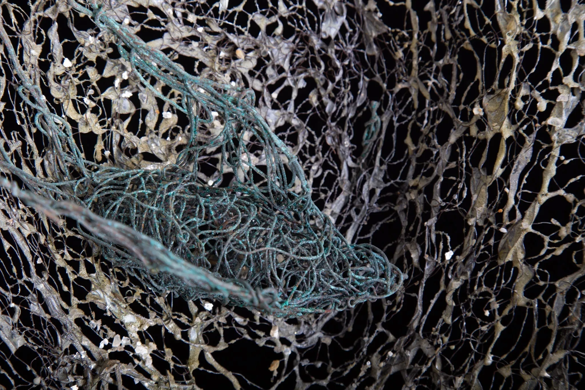Bird Nest Wall Sculpture ~ Volucres Nidificant (Birds Nest) Wall Piece (SOLD)