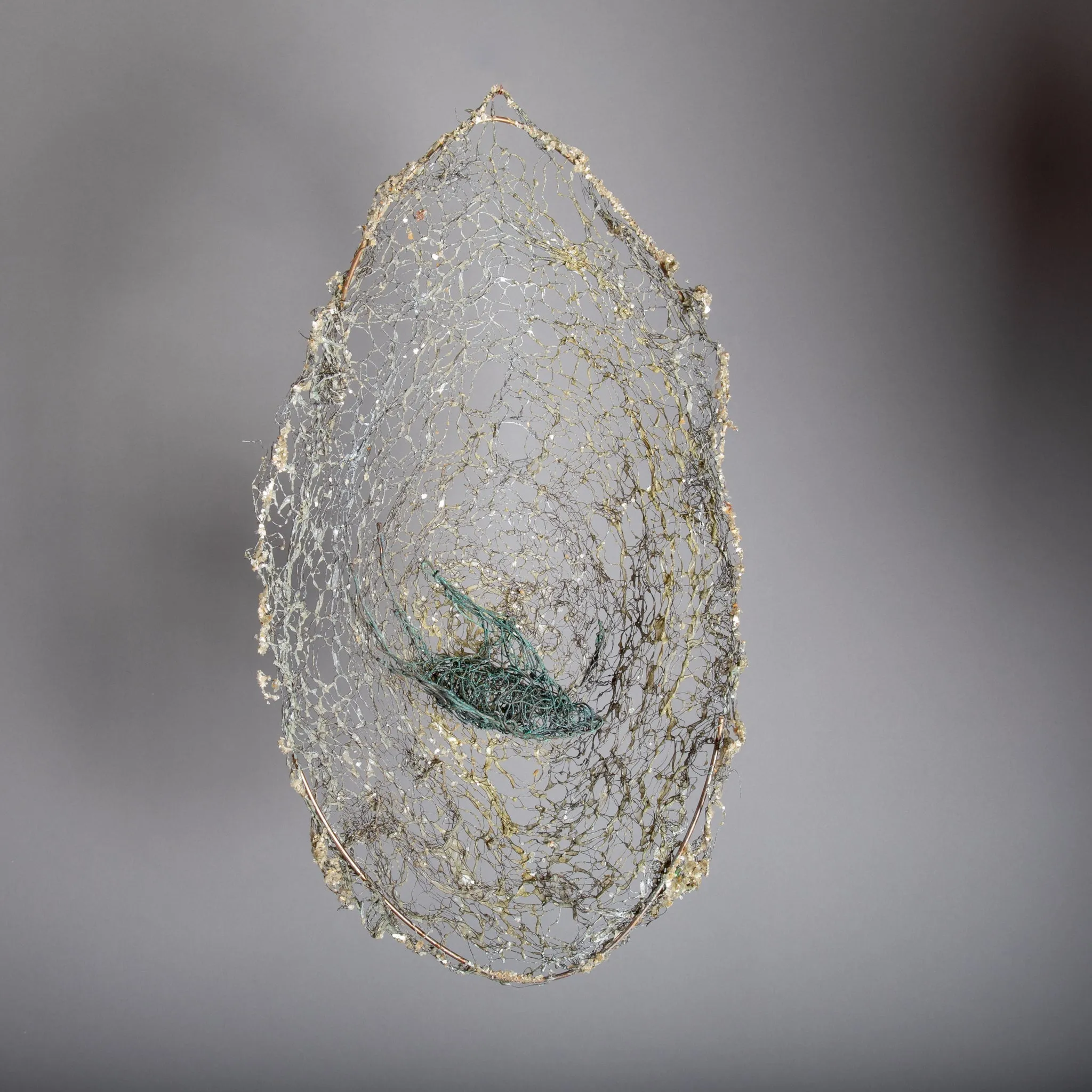 Bird Nest Wall Sculpture ~ Volucres Nidificant (Birds Nest) Wall Piece (SOLD)