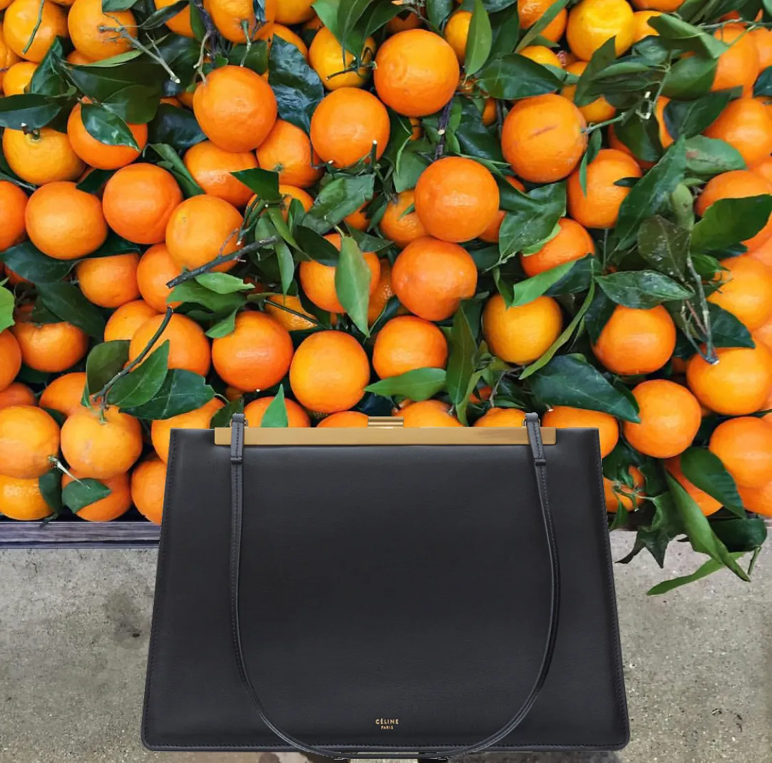 Celine Medium Claps Bag