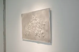 Installed Pinna Argentea (Silver Wing)