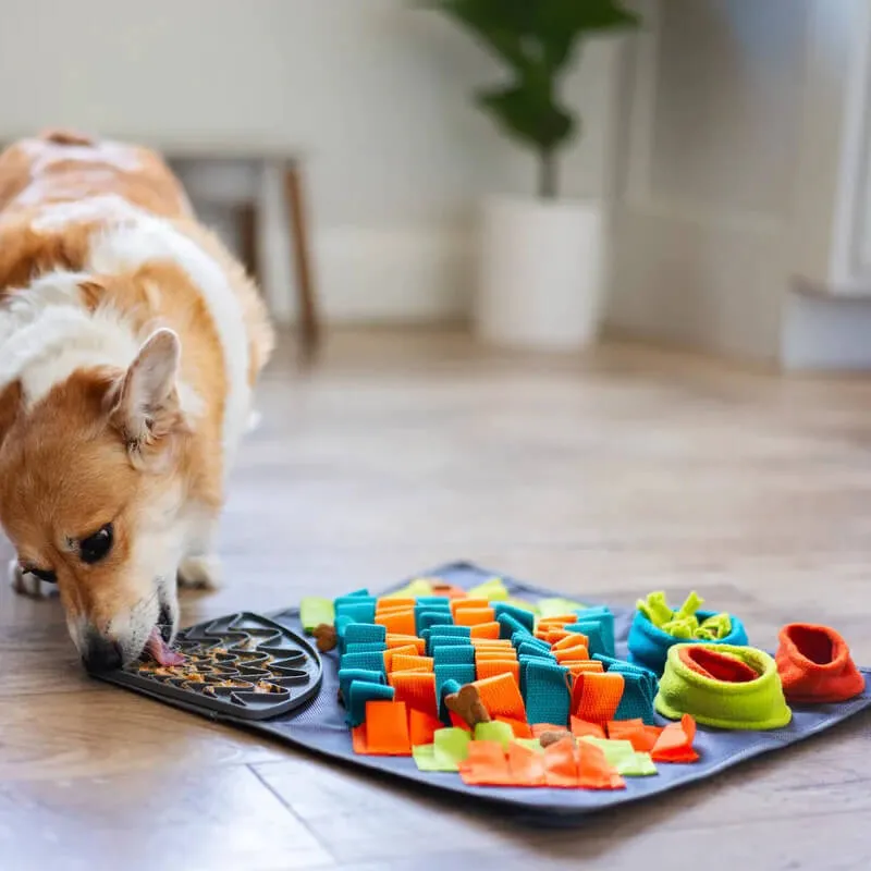 Messy Mutts Forage Mat Square 16"