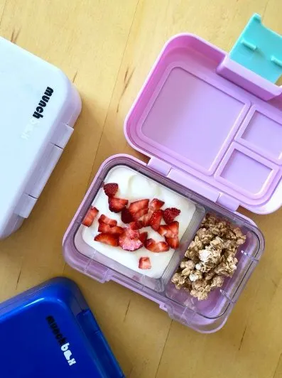 Munchbox Bento Box  - Munchi Snack