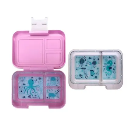 Munchbox Bento Box  - Munchi Snack