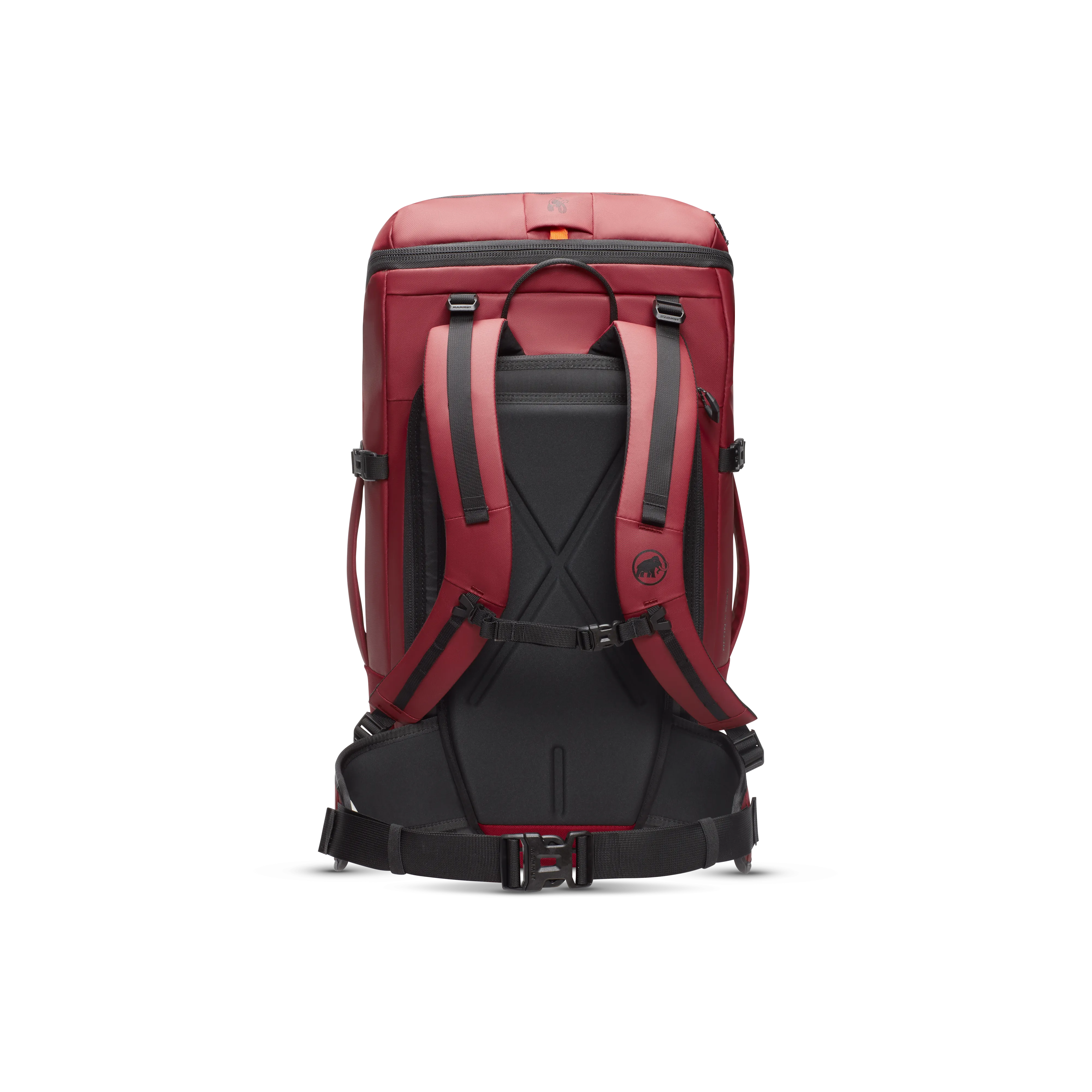 Neon 45 Pack - Women's