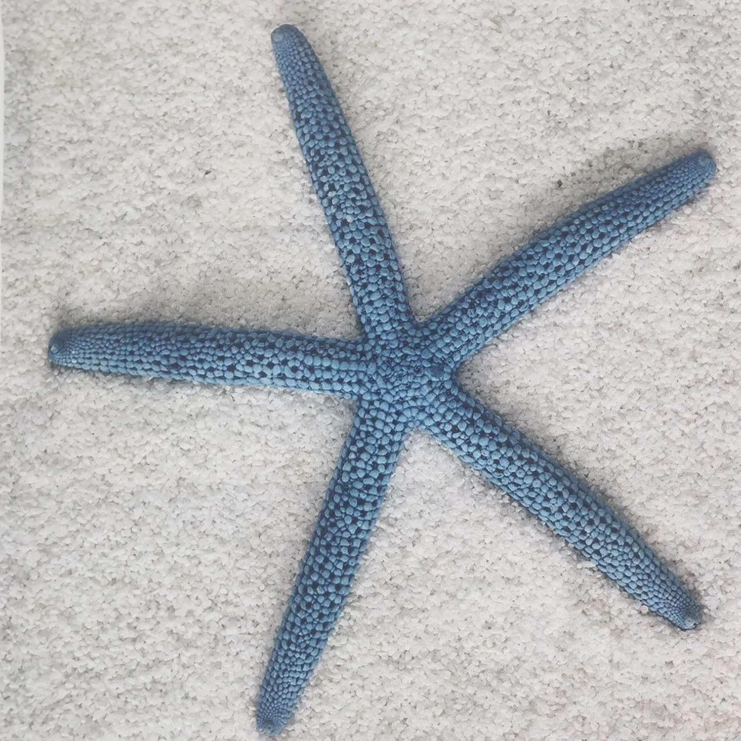 NEW Beach Stitching Theme Shower Curtain Sets with Hooks Marine Starfish Conch Shell Beach Drifting Bottle Sail Boat Nautical Lighthouse Bathroom Decor Waterproof Fabric Shower Curtains 72x72 inch