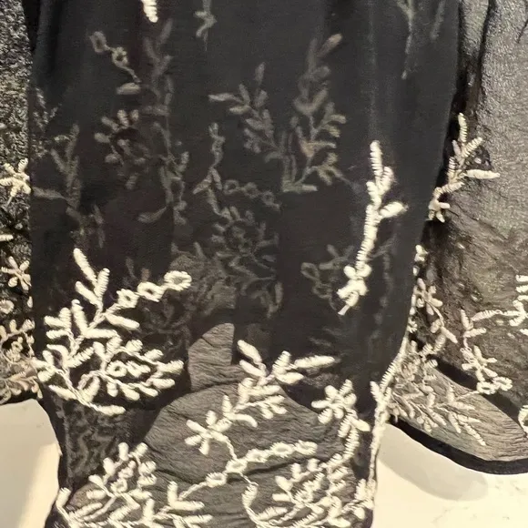 NWT!! Anthropologie SHEER EMBROIDERED MINI DRESS. Size M. Black Embroidered.