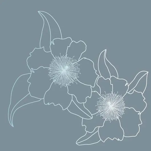 Pearl Grey Bacaro Style Placemat Set of 2 (30/45cm)