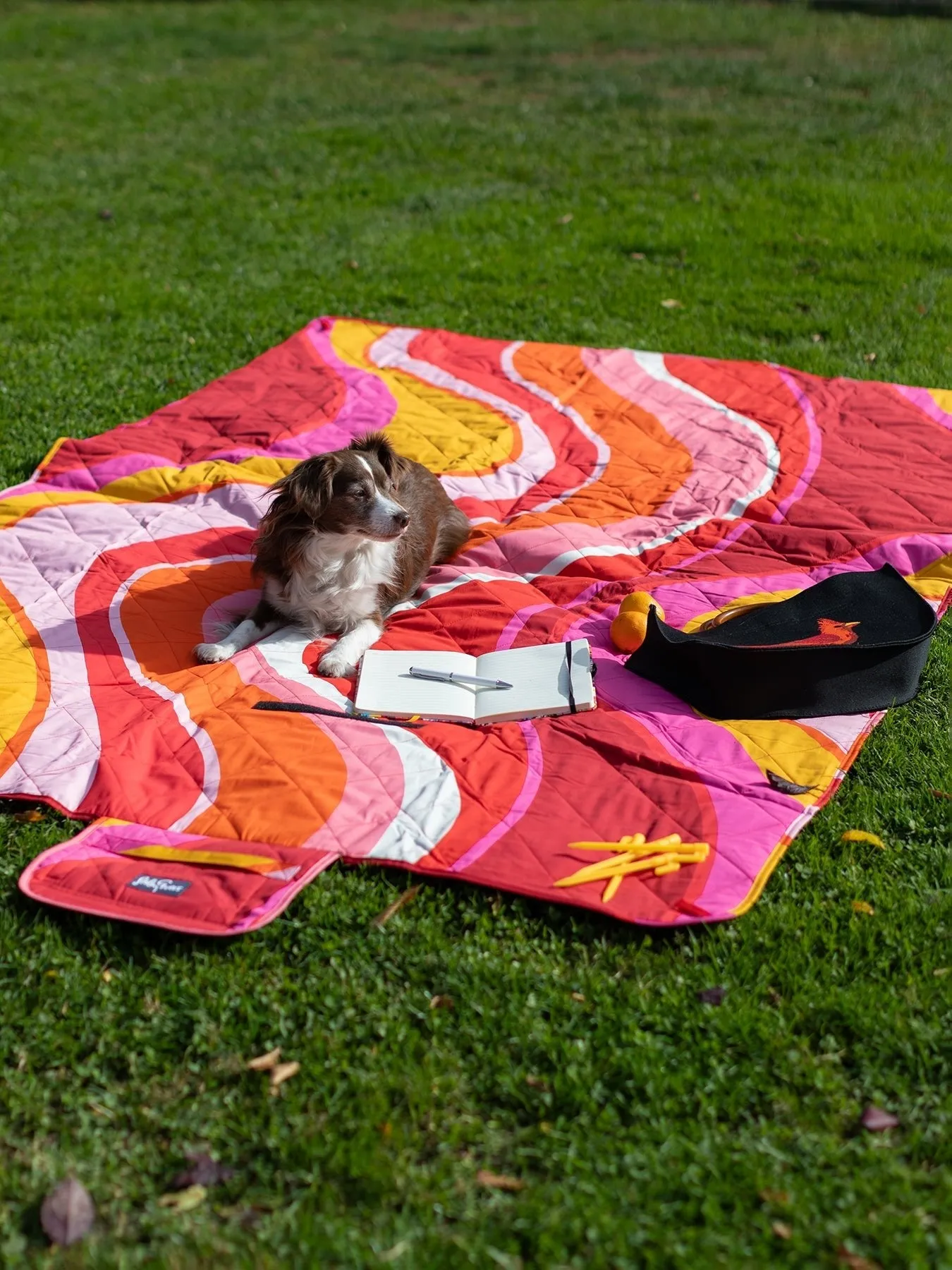 PICNIC BLANKET Pink Wave