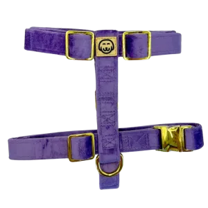 Violet Velvet - Adjustable Strap Dog Harness
